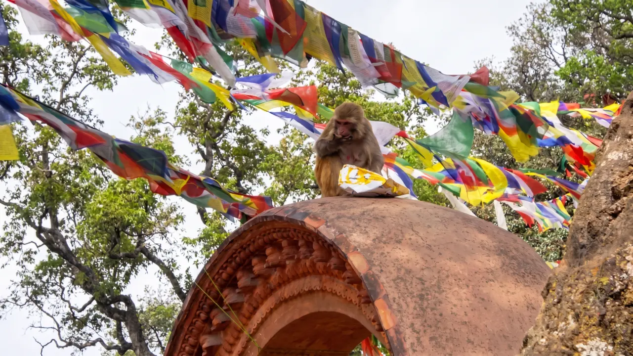Swayambunath, Kathmandu