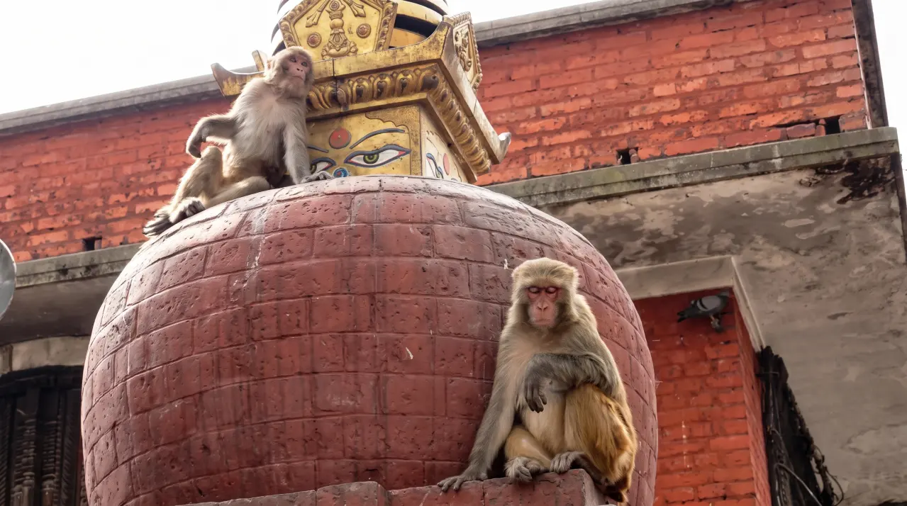 Swayambunath, Kathmandu