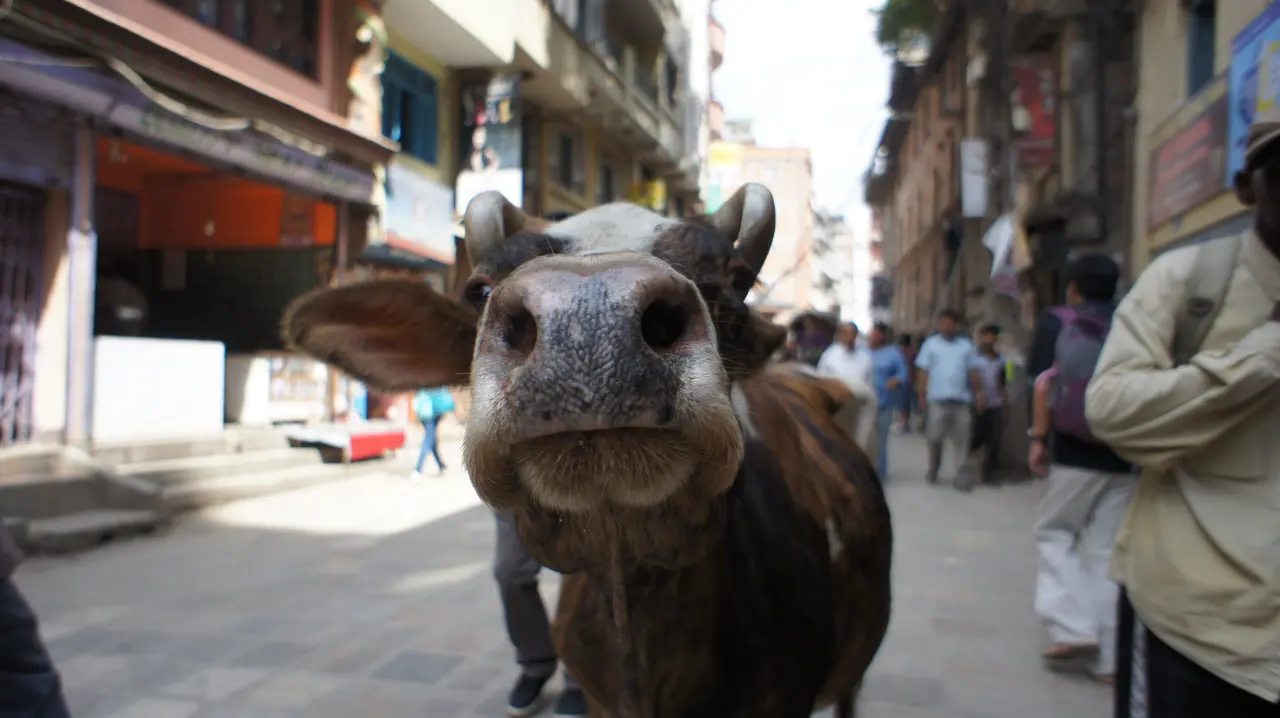 Thamel, Kathmandu