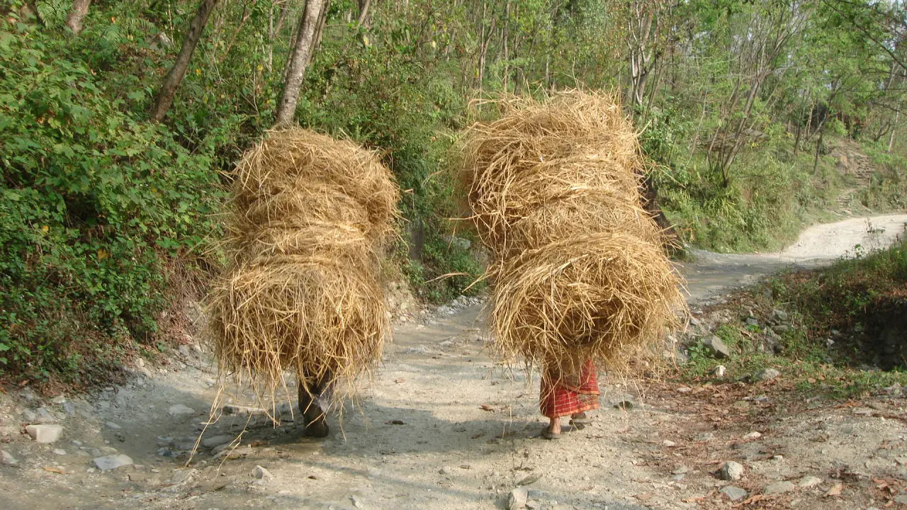 Bauern bei Dharapani