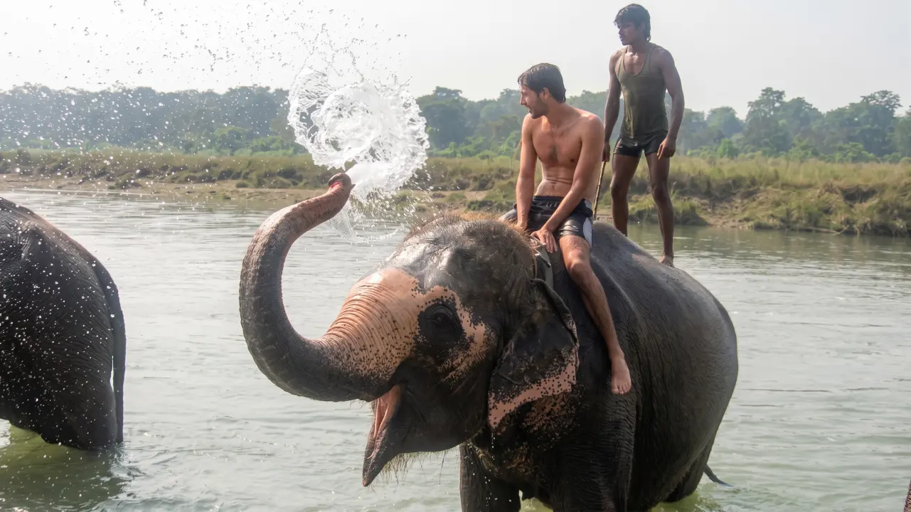 Elefanten baden im Rapti River, Chitwan