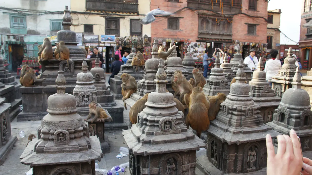 Swayambhu Stupa, Nepal Trekking