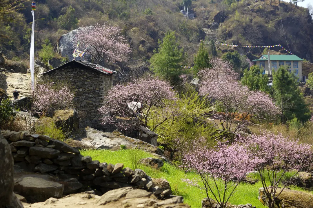 Everest Trekking