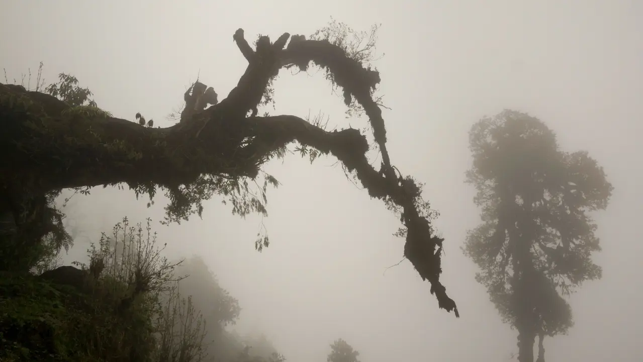 Makalu-Trekking