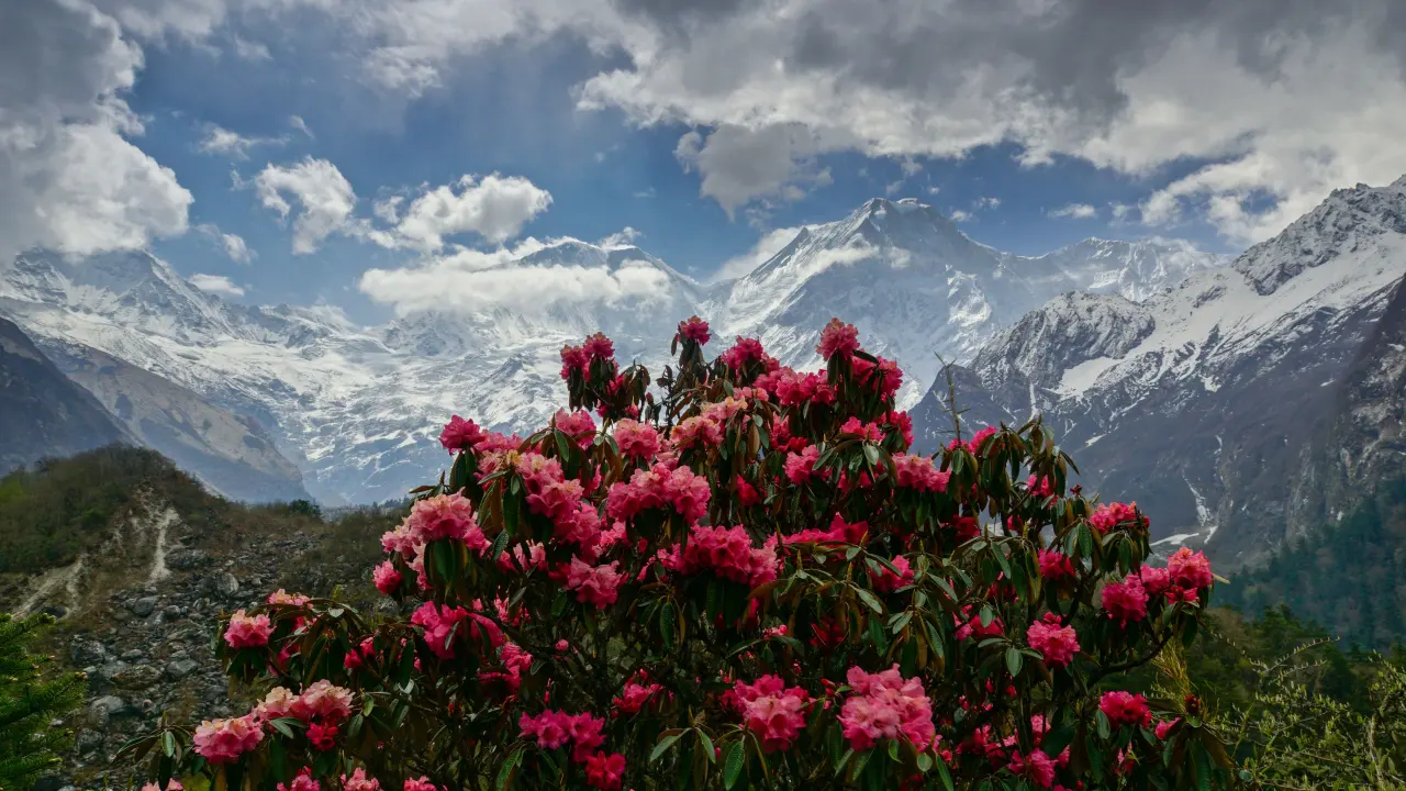 Manaslu Region: 