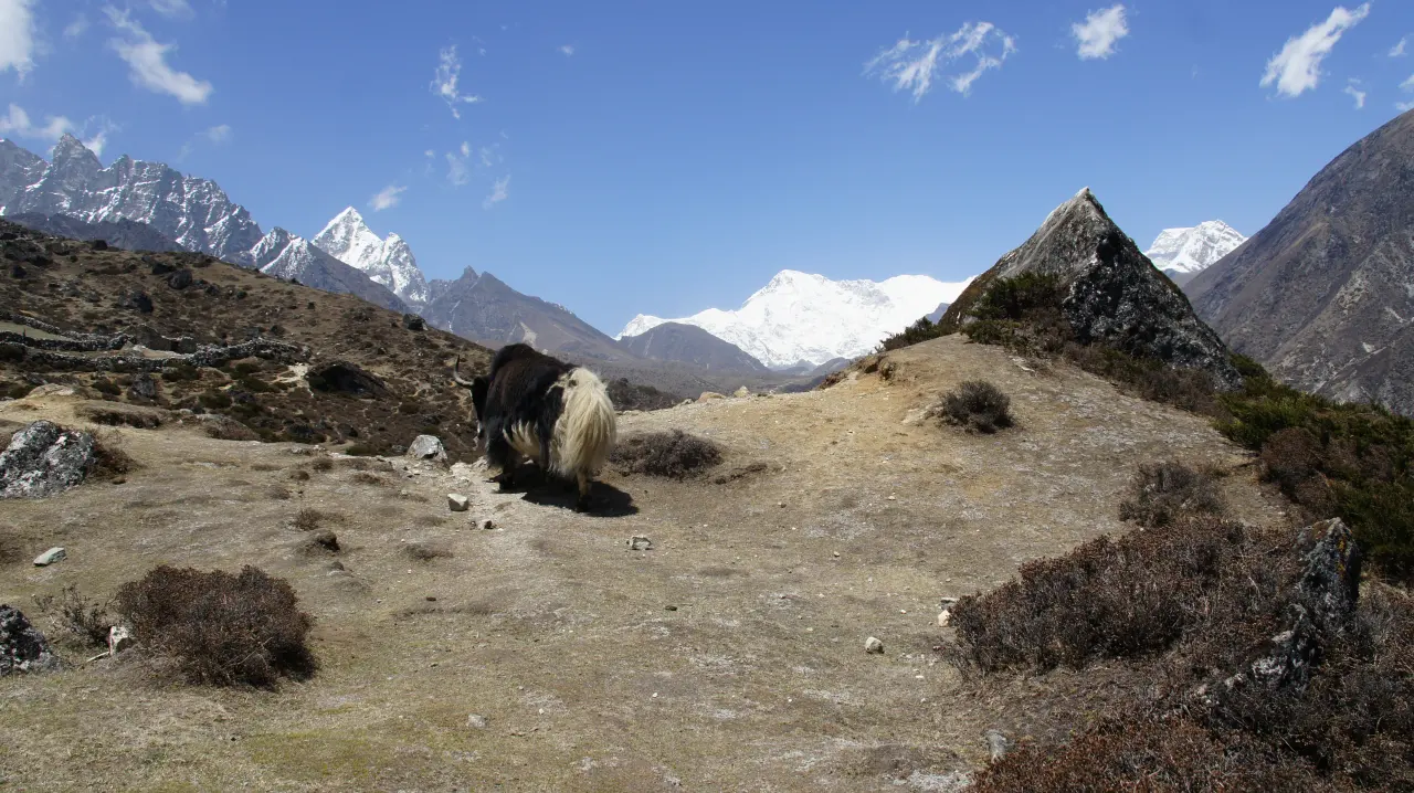 Everest Trekking