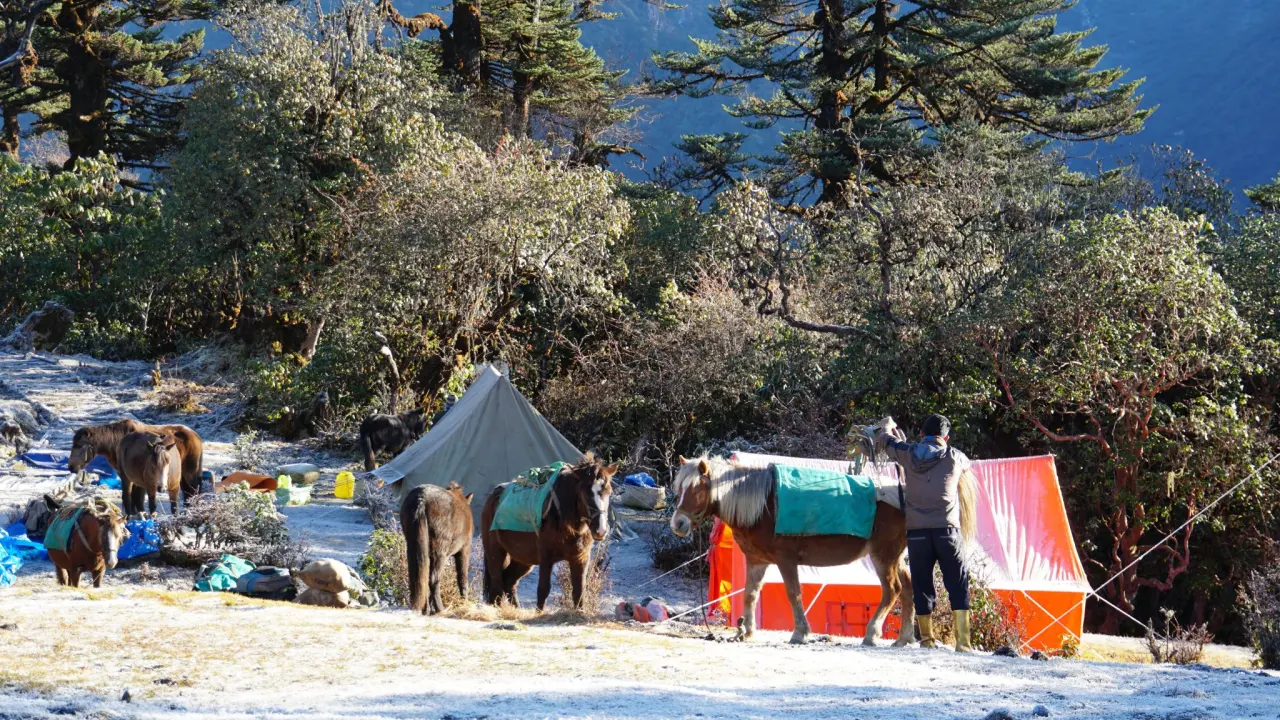 Camp Tshoka