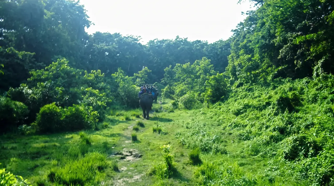 Ausflug mit Elefanten im Chitwan