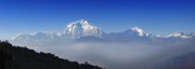 Der Blick vom Poonhill, 8.000er, Dhaulagiri, Nationalpark, Poonhill, tolle Aussichten, Annapurna