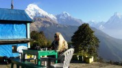 ABC-Trek, Annapurna Base Camp, Nationalpark, Mardi Himal, Trekking, abseits gelegen
