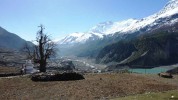 Grosse Annapurna Runde mit Poon Hill, Jarsang Khola Tal